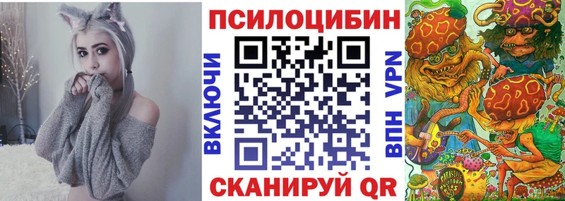 blacksprut ссылки  Кизилюрт  Псилоцибиновые грибы Magic Shrooms 